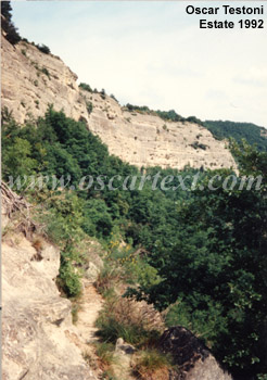 Il contrafforte pliocenico tra Badolo e Monte Adone, visto da un sentiero (esposto!) che lo percorre a metà in direzione Monte Adone